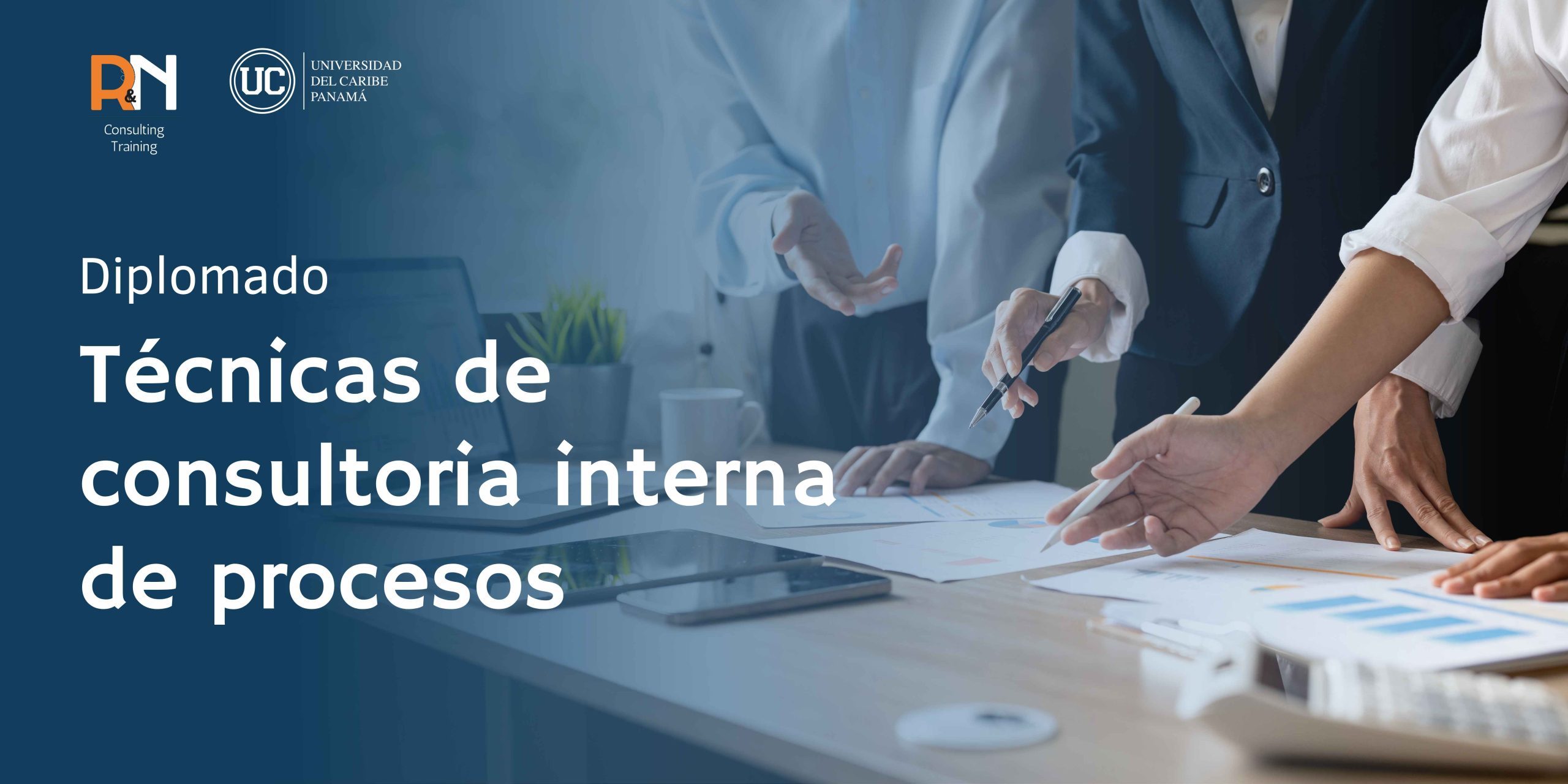Técnicas de Consultoría Interna